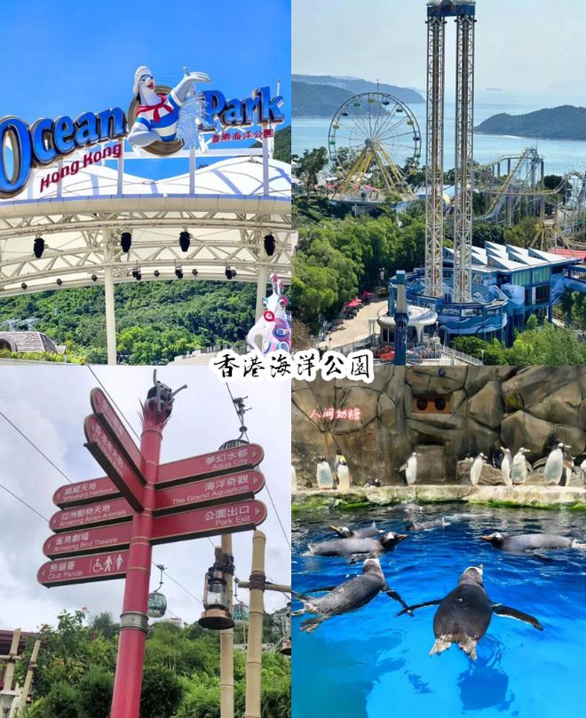 澳四日游景点推荐攻略：这些景点不容错过龙8国际龙8网站港澳四日游路线规划港(图3)