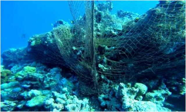 仁爱礁:可成为美济岛的后花园南沙至关重要的无人礁之39—(图3) 仁爱礁:可成为美济岛的后花园南沙至关重要的无人礁之39—(图3)